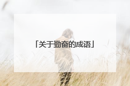 关于勤奋的成语