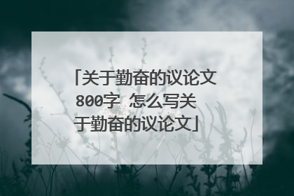 关于勤奋的议论文800字 怎么写关于勤奋的议论文