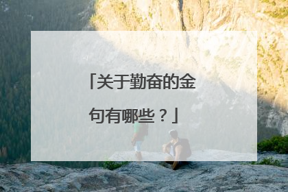 关于勤奋的金句有哪些?