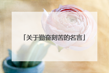 关于勤奋刻苦的名言