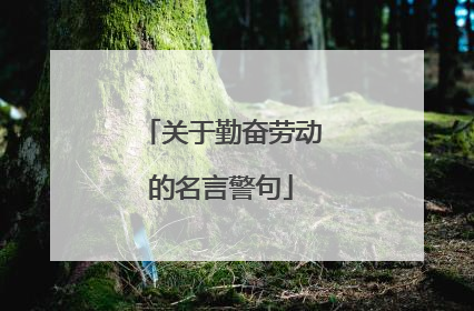 关于勤奋劳动的名言警句