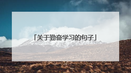 关于勤奋学习的句子