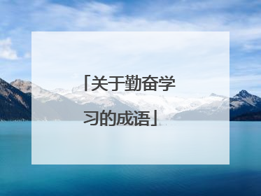 关于勤奋学习的成语