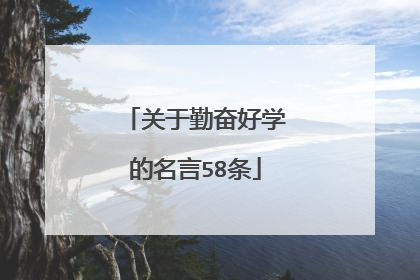 关于勤奋好学的名言58条