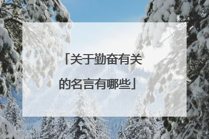 关于勤奋有关的名言有哪些
