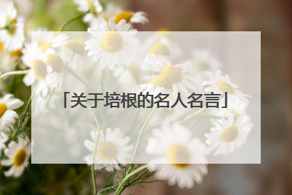 关于培根的名人名言