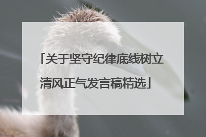 关于坚守纪律底线树立清风正气发言稿精选