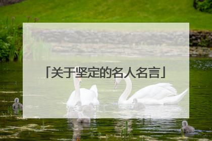 关于坚定的名人名言