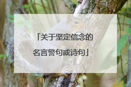 关于坚定信念的名言警句或诗句