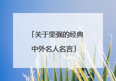 关于坚强的经典中外名人名言