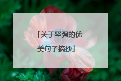 关于坚强的优美句子摘抄