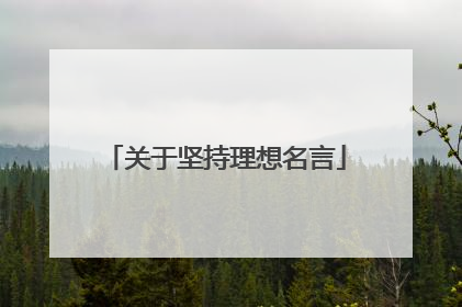 关于坚持理想名言