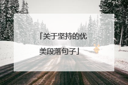 关于坚持的优美段落句子