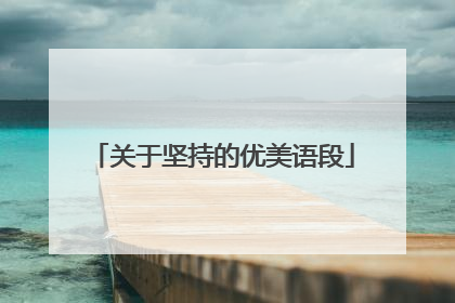 关于坚持的优美语段