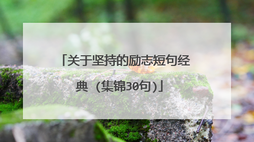 关于坚持的励志短句经典 (集锦30句)