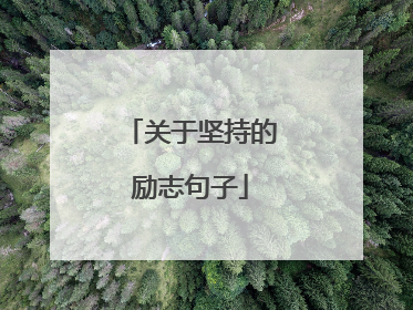 关于坚持的励志句子