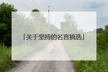 关于坚持的名言摘选