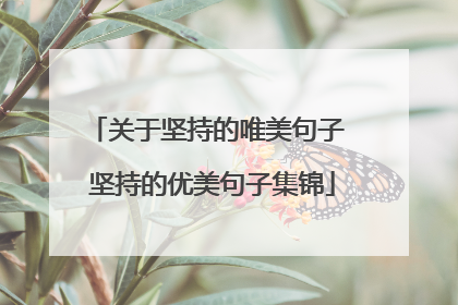 关于坚持的唯美句子 坚持的优美句子集锦