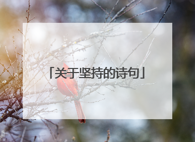 关于坚持的诗句