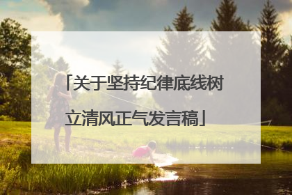 关于坚持纪律底线树立清风正气发言稿