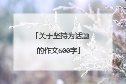 关于坚持为话题的作文600字