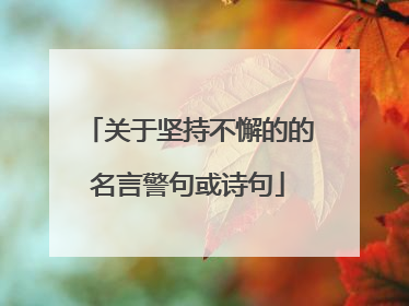 关于坚持不懈的的名言警句或诗句
