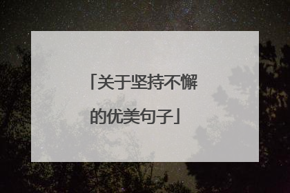 关于坚持不懈的优美句子