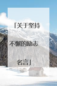 关于坚持不懈的励志名言