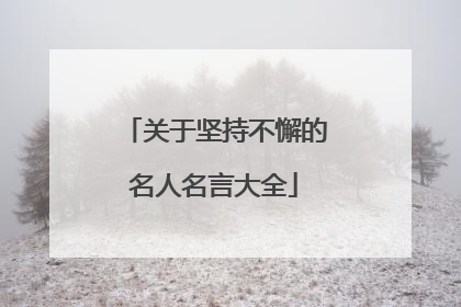关于坚持不懈的名人名言大全