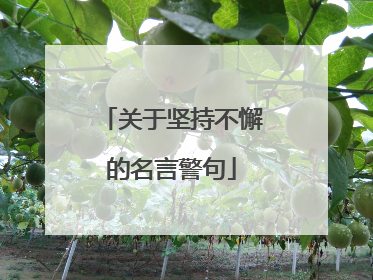 关于坚持不懈的名言警句