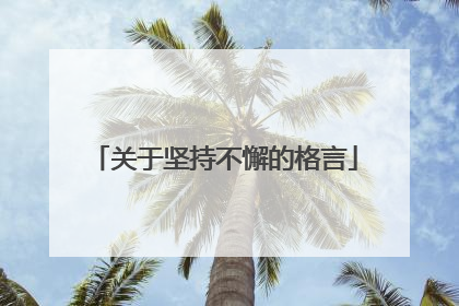 关于坚持不懈的格言