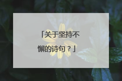 关于坚持不懈的诗句？