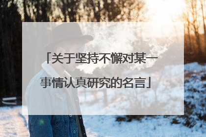 关于坚持不懈对某一事情认真研究的名言