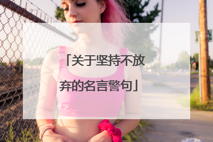 关于坚持不放弃的名言警句