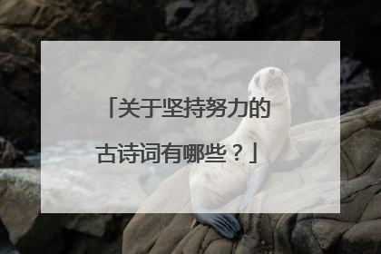 关于坚持努力的古诗词有哪些?