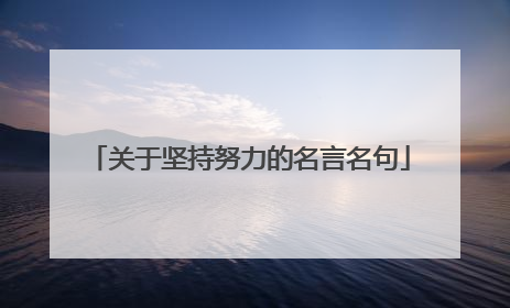 关于坚持努力的名言名句