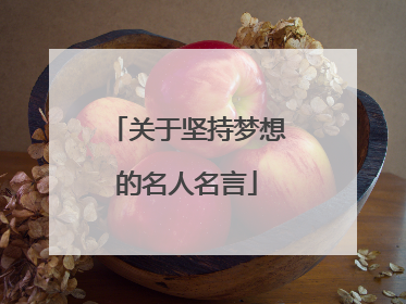 关于坚持梦想的名人名言