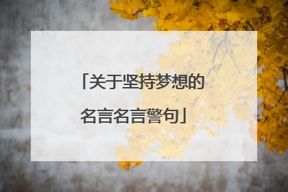关于坚持梦想的名言名言警句