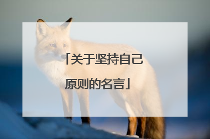 关于坚持自己原则的名言