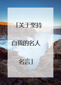 关于坚持自我的名人名言