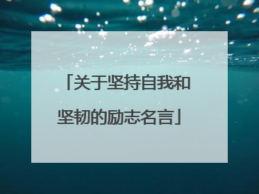 关于坚持自我和坚韧的励志名言