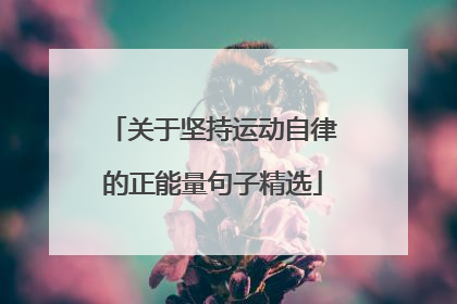 关于坚持运动自律的正能量句子精选