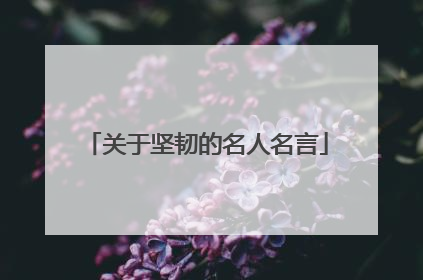 关于坚韧的名人名言
