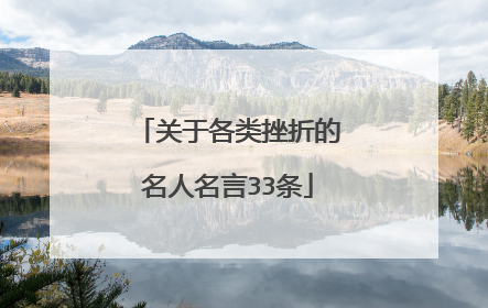 关于各类挫折的名人名言33条