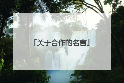 关于合作的名言