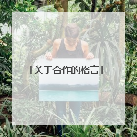 关于合作的格言