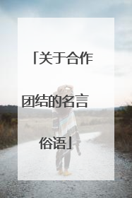 关于合作团结的名言俗语