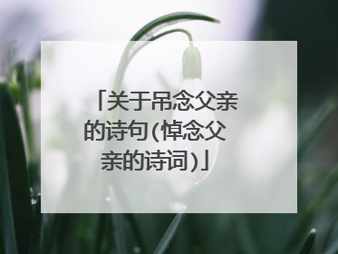 关于吊念父亲的诗句(悼念父亲的诗词)