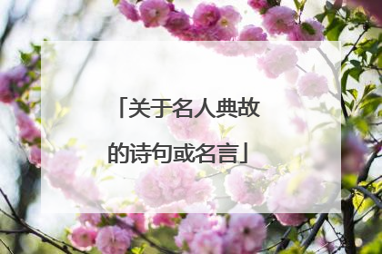关于名人典故的诗句或名言