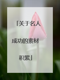 关于名人成功的素材积累